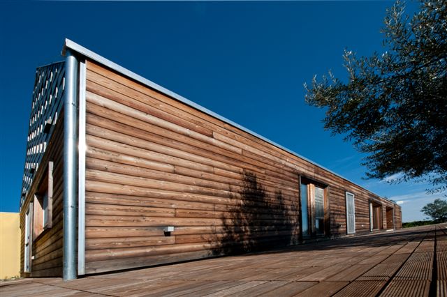 Kuća među maslinama