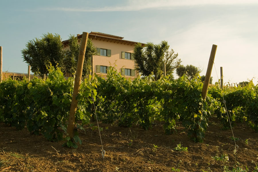 Hotel l’orso e l’ape b & b